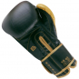 Boxerské rukavice kůže Royal BAIL černé zezadu