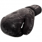 Boxerské rukavice Dragon´s Flight VENUM hřbet