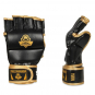 MMA rukavice kožené DBX BUSHIDO E1 v8 pair
