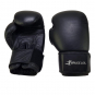 Boxerské rukavice Allround kůže PRO detail