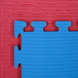Tatami Economic 100 x 100 x 2 cm modré-červené detail